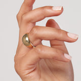 Hand wearing a 14K gold Dome ring on a plain background
