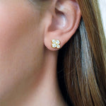 Anderson Gold and Diamond earrings close-up