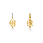 Temple St. Clair 18K Yellow Gold Arcadia Earrings