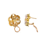 19K Gold earrings with moonstones on a white background