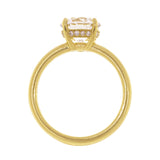 side view of round brilliant cut diamond ring with hidden halo